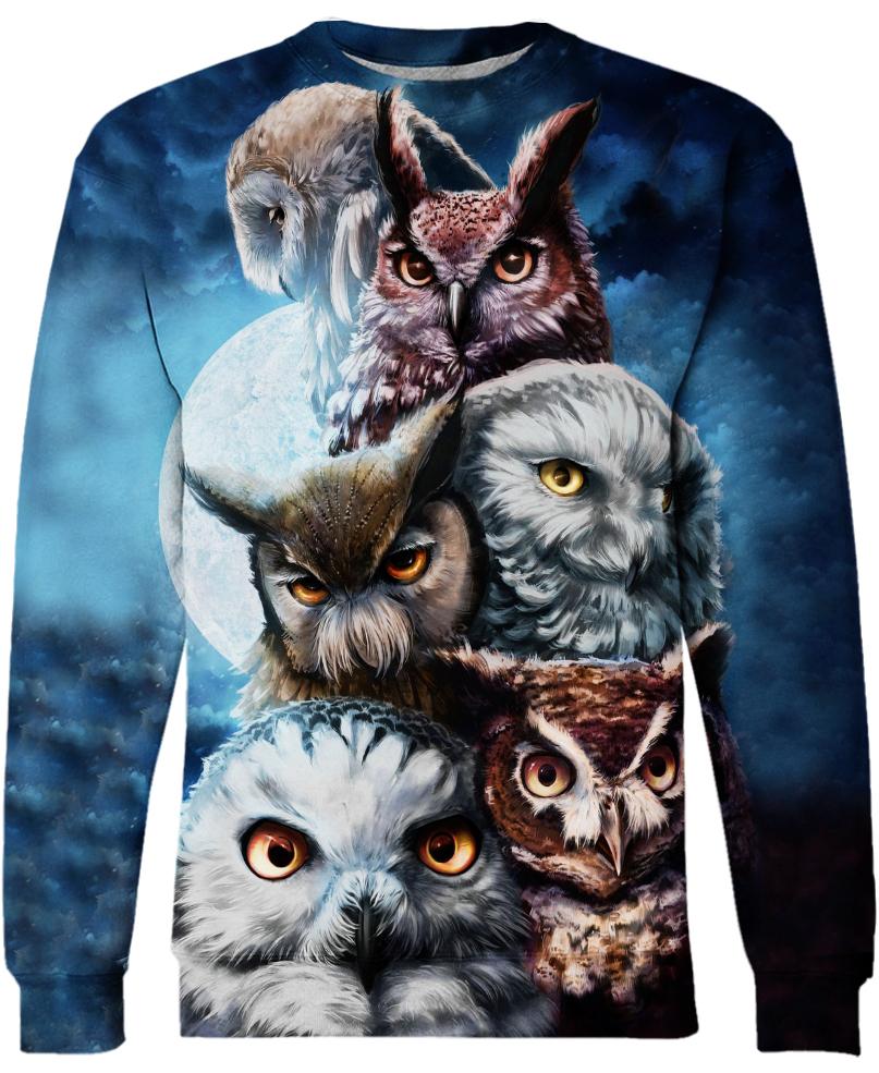 WelcomeNative Owl Impressive 3D Hoodie, All Over Print Hoodie, Native American
