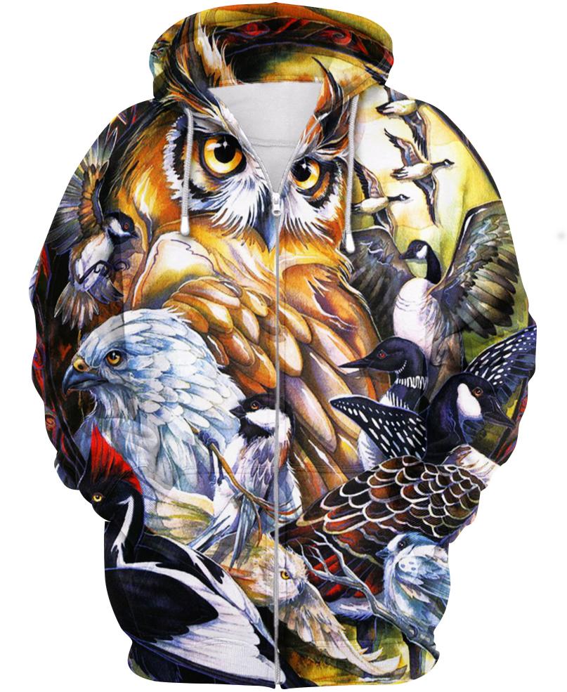 Owl Color