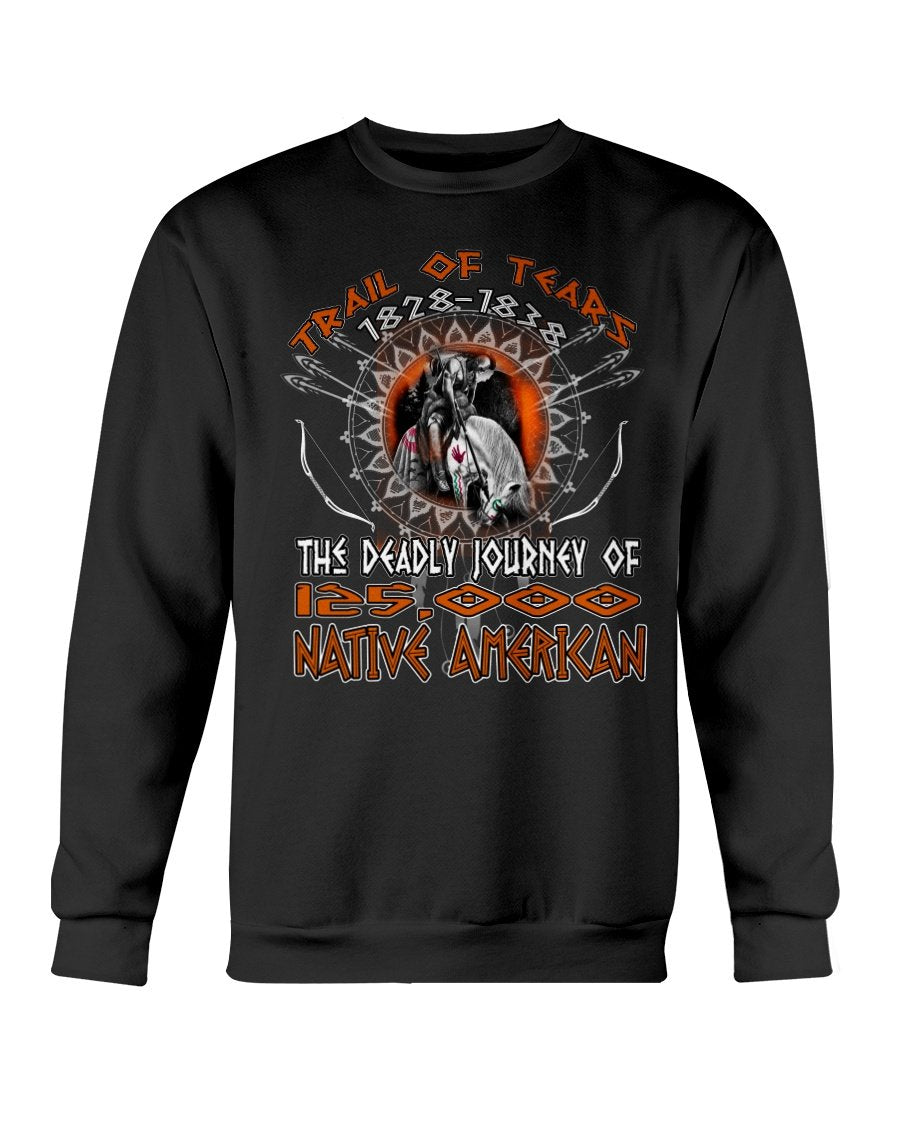 WelcomeNative Journey T Shirt, Native American Shirt