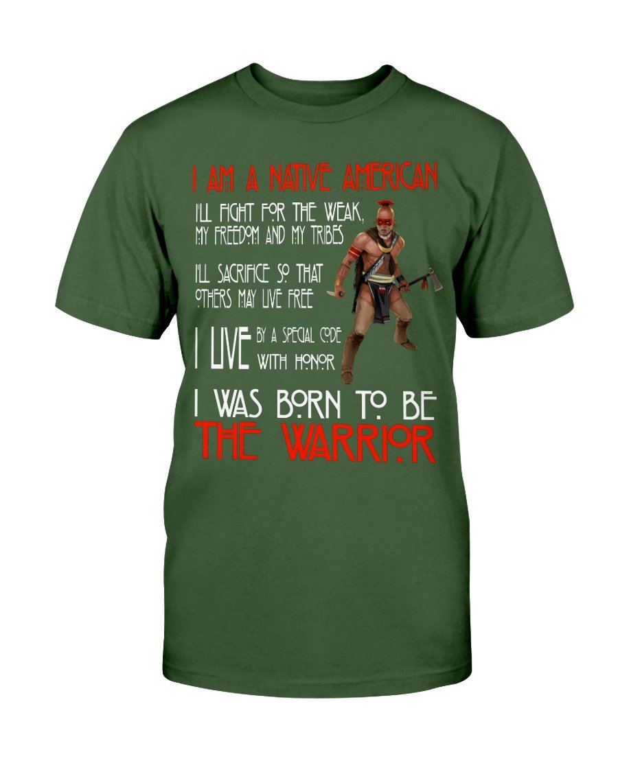 WelcomeNative The Warrior T Shirt, Native American Shirt