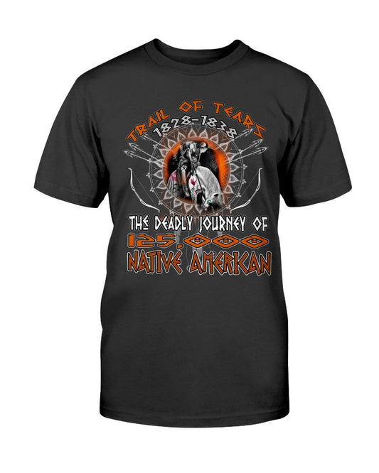WelcomeNative Journey T Shirt, Native American Shirt