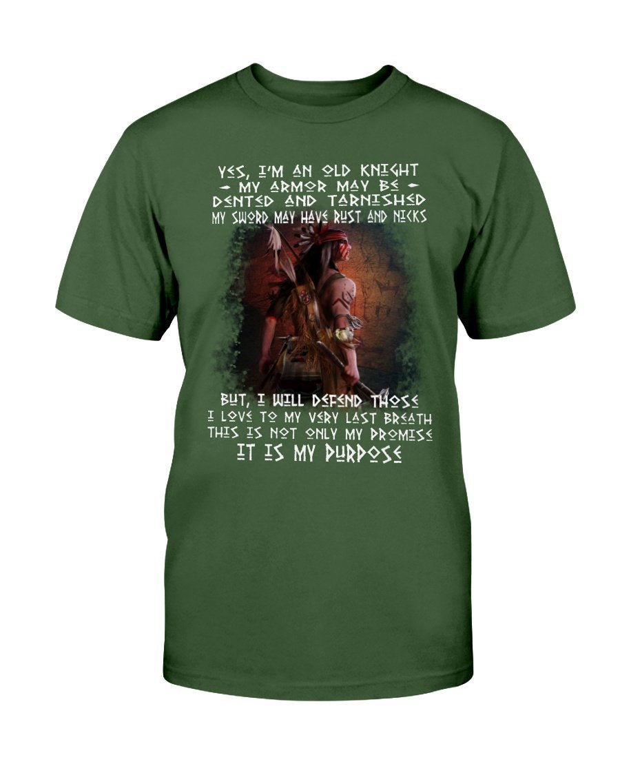 WelcomeNative Native American Hero T Shirt, Native American Shirt