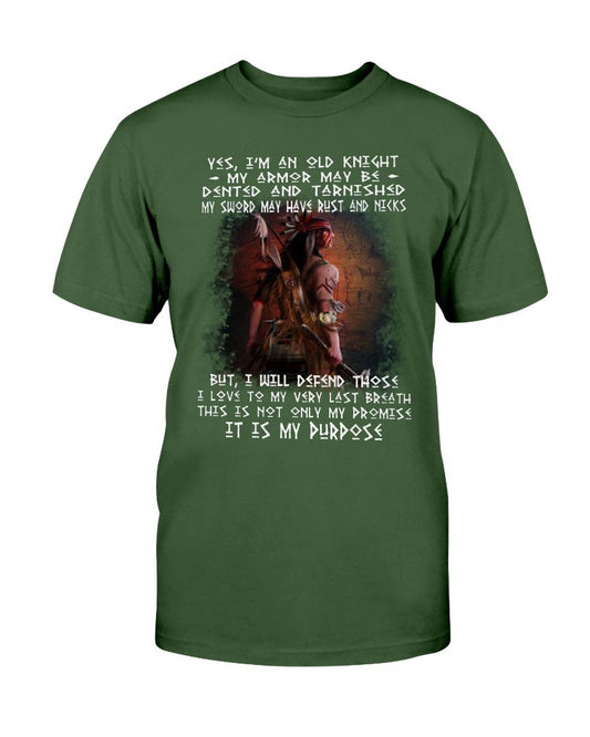 WelcomeNative Native American Hero T Shirt, Native American Shirt