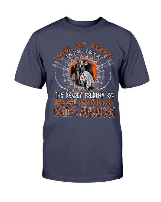 WelcomeNative Journey T Shirt, Native American Shirt
