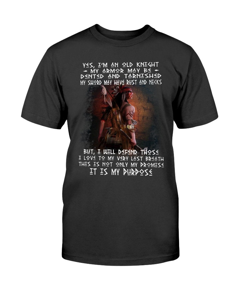 WelcomeNative Native American Hero T Shirt, Native American Shirt