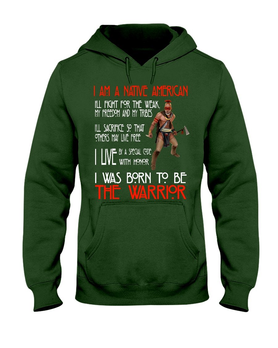 WelcomeNative The Warrior T Shirt, Native American Shirt