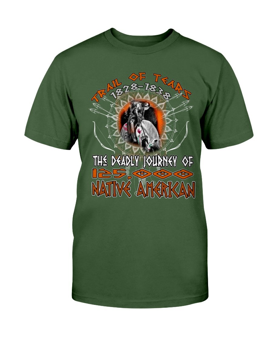 WelcomeNative Journey T Shirt, Native American Shirt